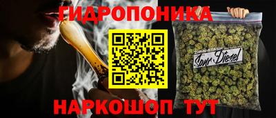 МДПВ Дубна