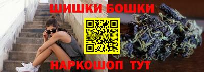 МДПВ Дубна
