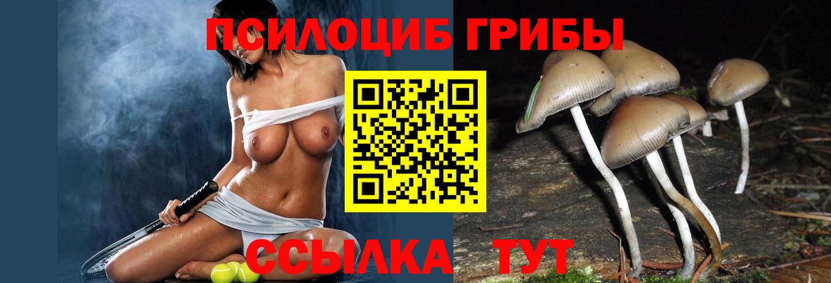 Галлюциногенные грибы GOLDEN TEACHER Майский