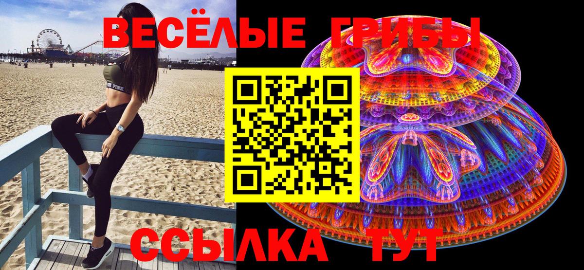 Майский  Псилоцибиновые грибы MAGIC MUSHROOMS  Вход с VPN 